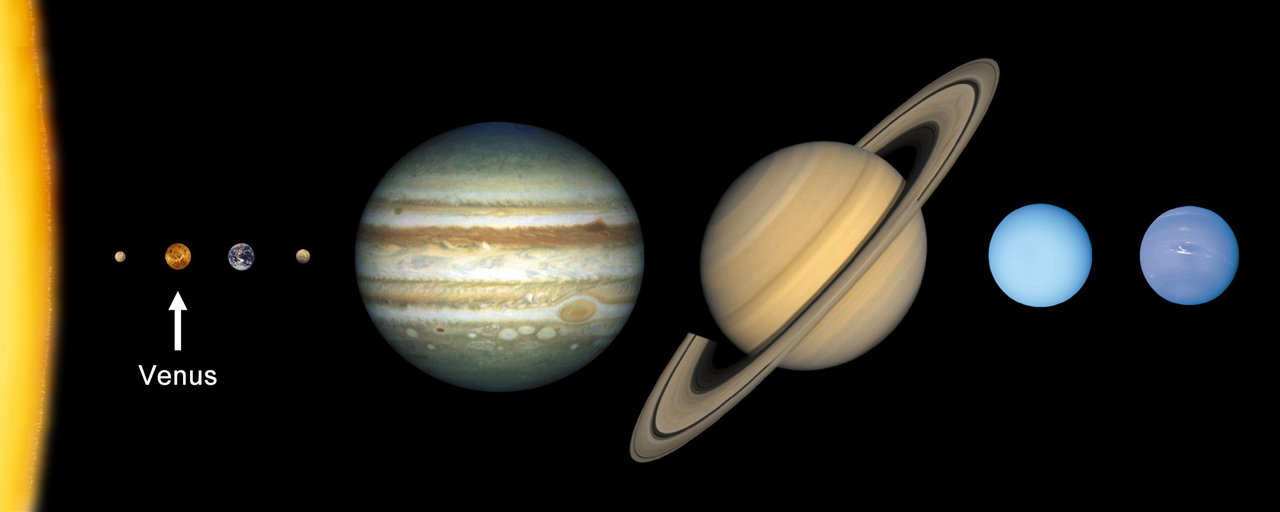 venus 2.jpg