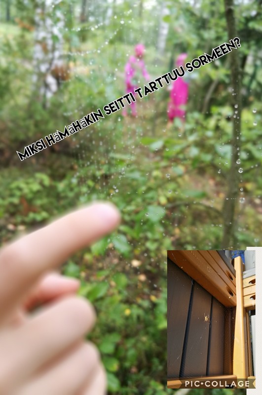 Mitä ihmettä?!