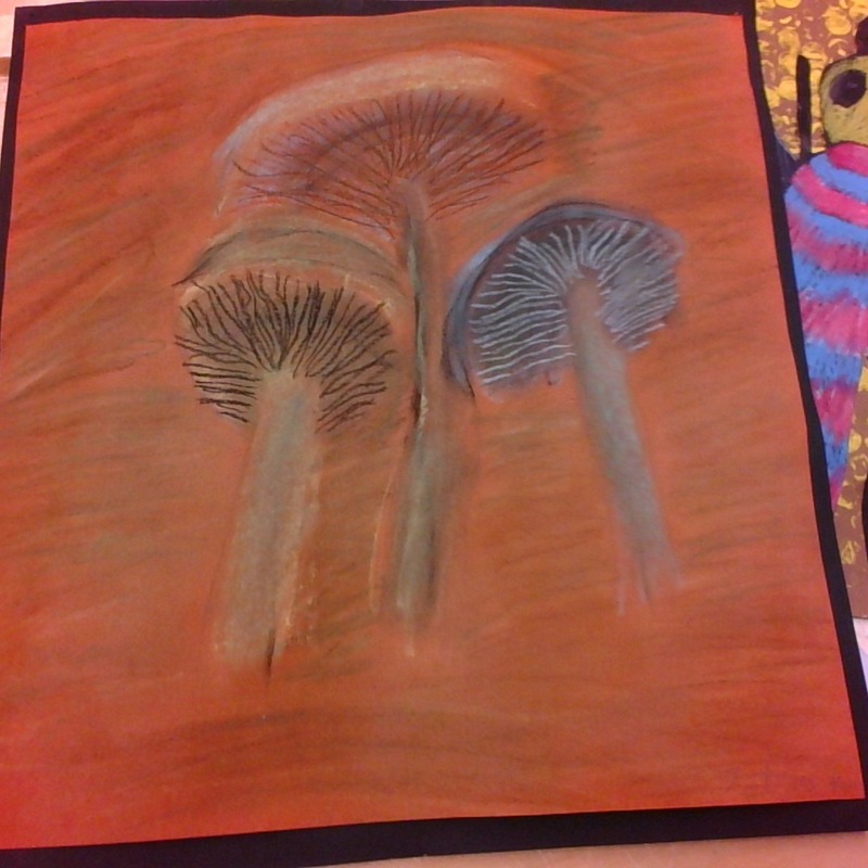 IMG_20220121_103202.jpg