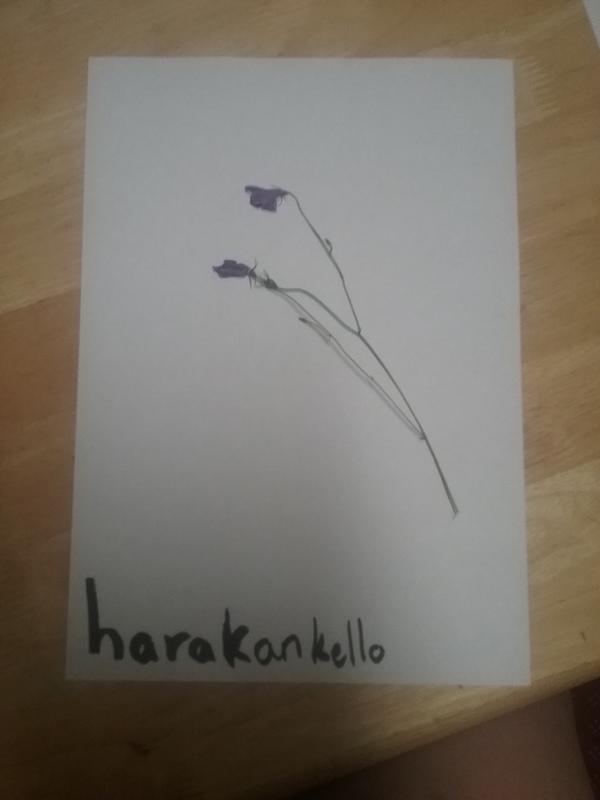 harakankello