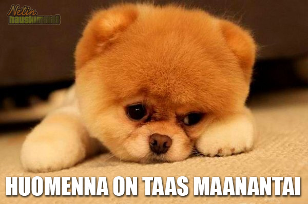 MAANANTAI.jpg
