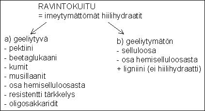 04_ravintokuitu.gif