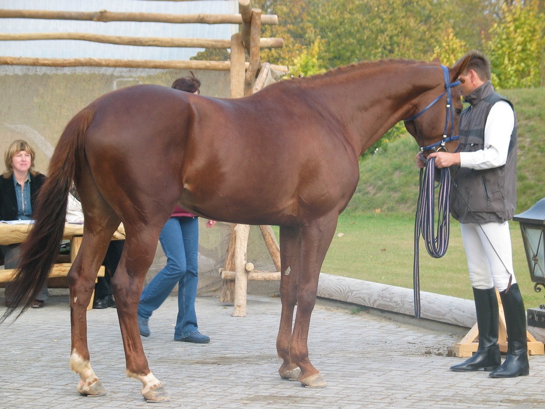 Liettua 0149.JPG