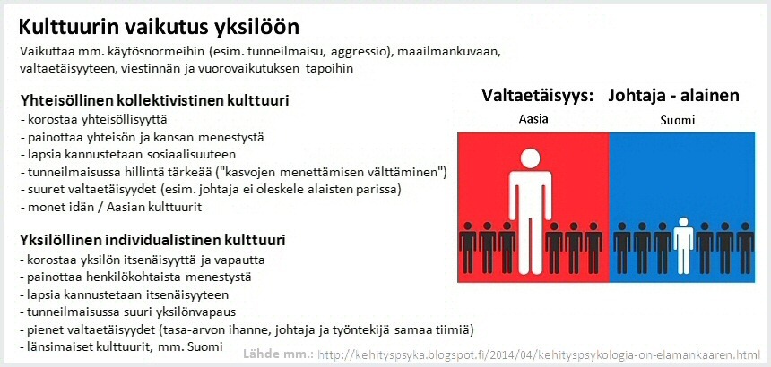 kulttuurien vaikutus yksilöön.jpg