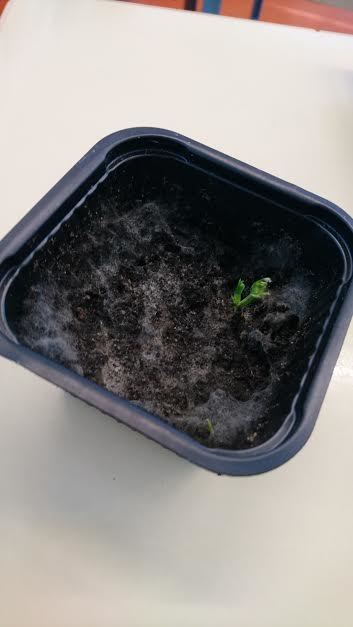 unnamed liten.jpg
