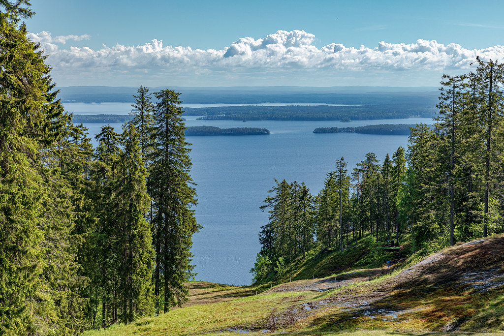 Suomen Maisema alueet Vaara suomi