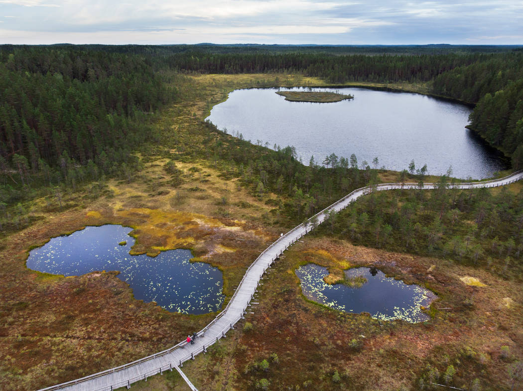 Seitseminen-Soljaset-maisema-275-Tea-Karvinen.jpg