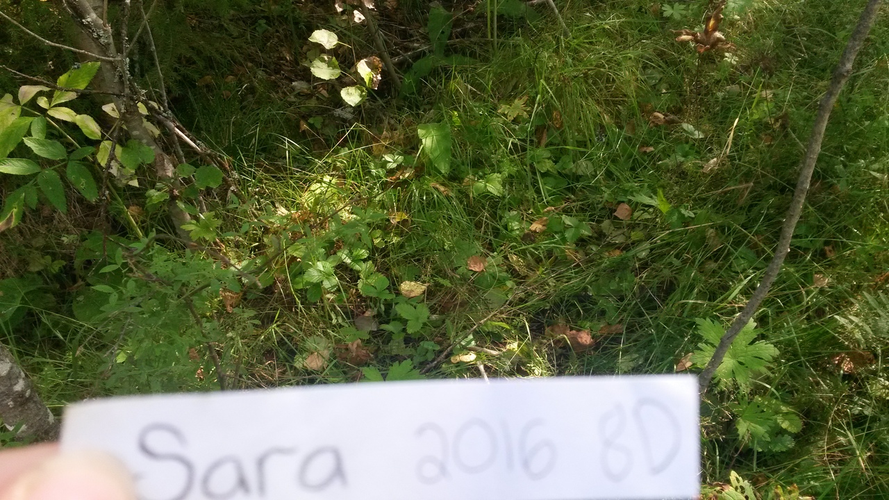 20160831_121521.jpg