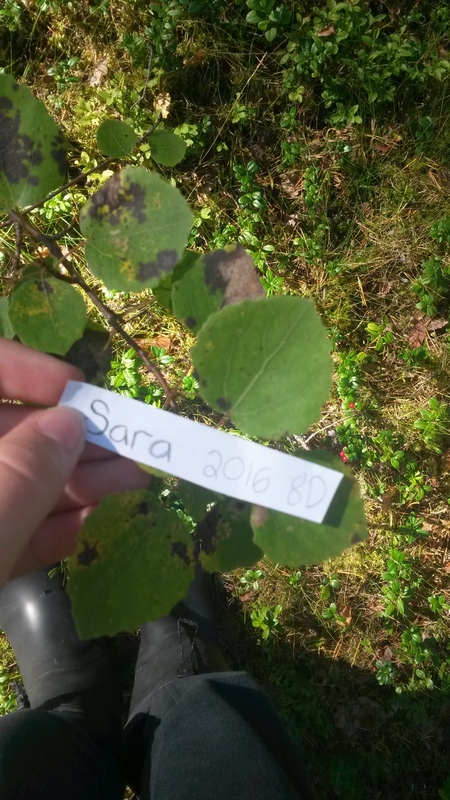 20160831_120333.jpg