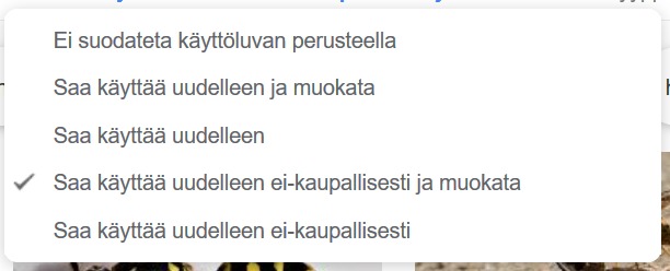 käyttöluvat.PNG