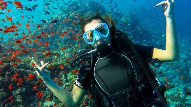 Top 2 Dives in Australia.jpg