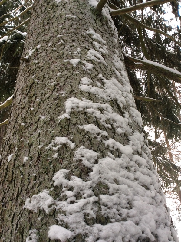 3B972C58-E250-4990-9C0D-D6140620CF1B.jpeg