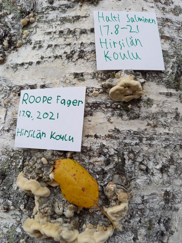 20210817_104723.jpg
