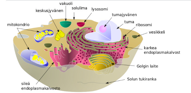 aaael-insolu-png
