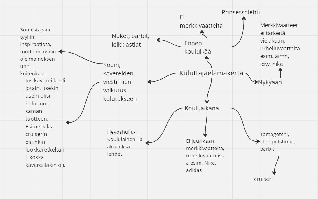 kuluttajaelämäkerta.JPG