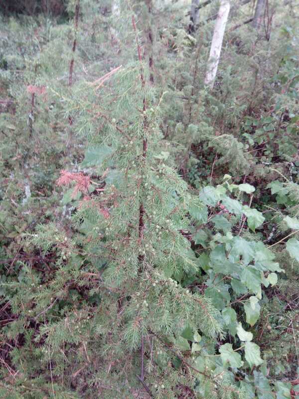 IMG-20210825-WA0048.jpg