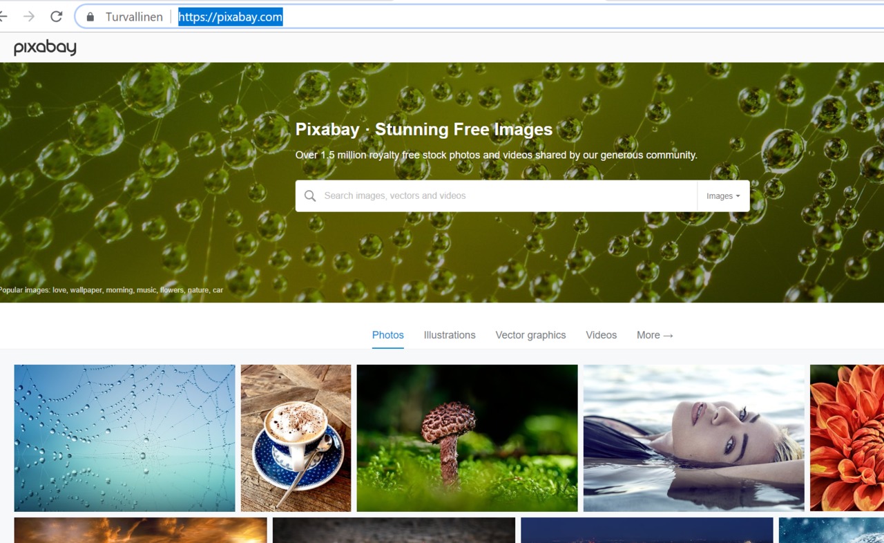 pixabay.PNG