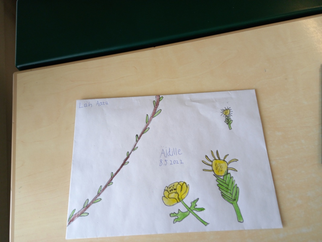 Oikea puoli äitienpäiväkirje