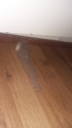 20190428_182521.jpg