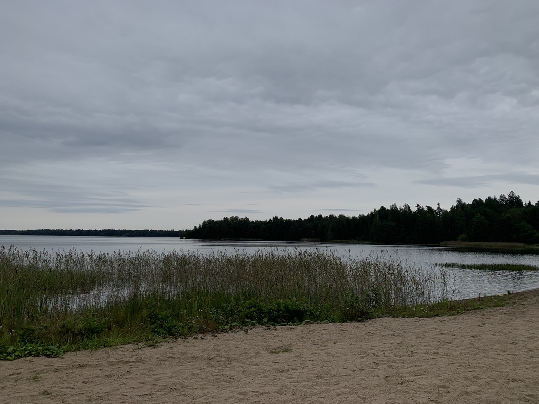 Maisema