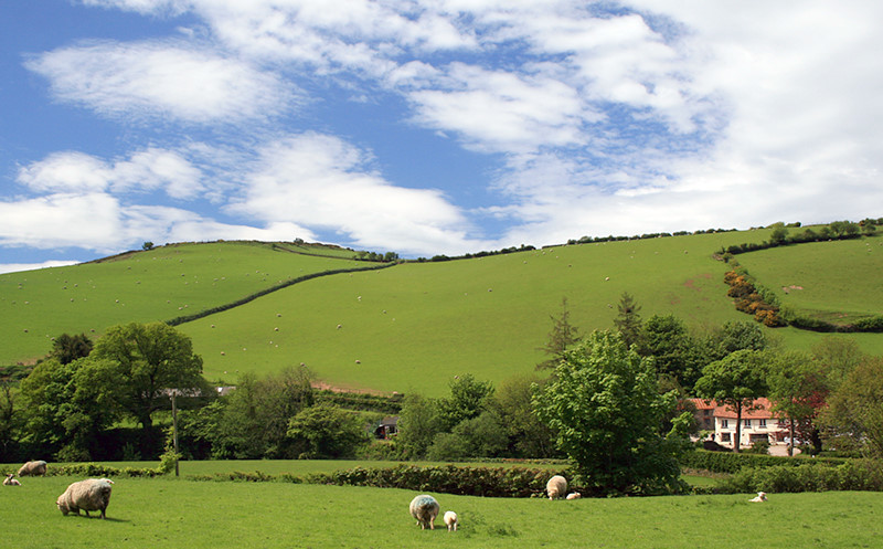 Maalaismaisema viljelysmaa_eurooppa_shutterstock_102987407.jpg