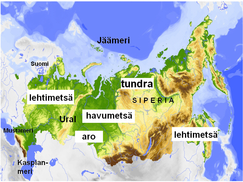 Venäjän kasvillisuus ja paikannimiä venaja_kasvillisuus_lopullinen.jpg