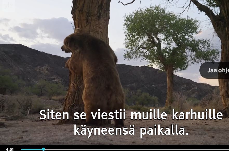 gobin_karhu_4min.JPG