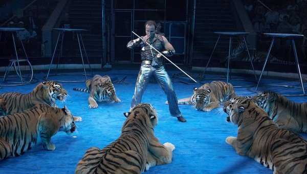 Eläintenkesyttäjä ja tiikerit Moskovan Nikulinin sirkuksesta