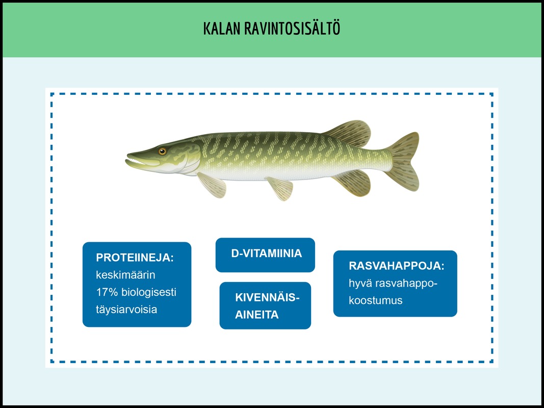 Kalan ravintosisältö
