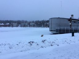 Itä 8.12.16