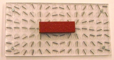 image20.jpg