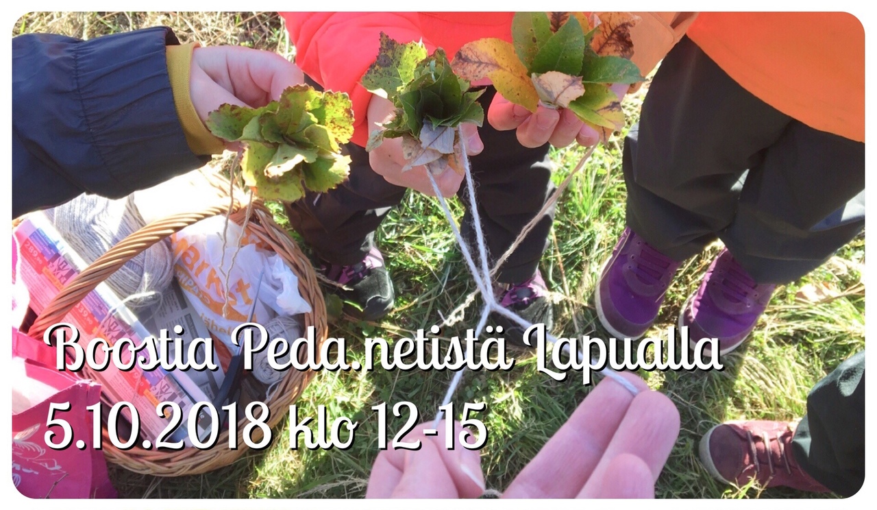 1CE43C64-023E-48ED-AC4B-E92161B3DE9D.jpeg (kopio)