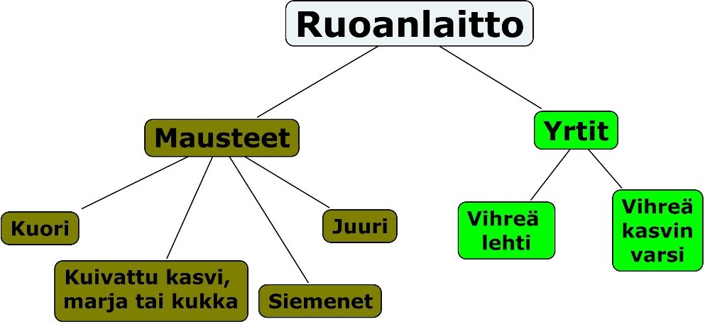 Mauste_yrtti_erottelu.jpg