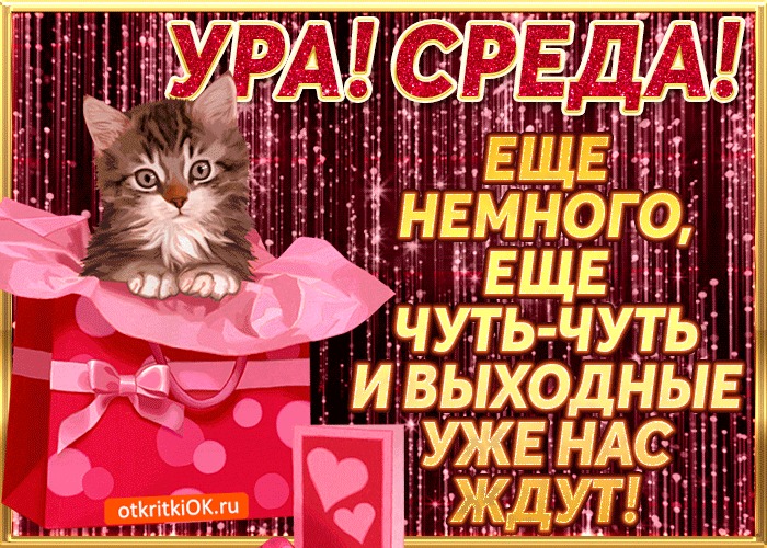 ura-sreda-49581-1566357.gif