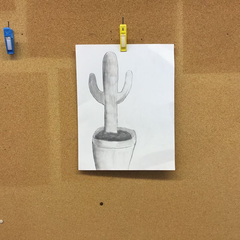 Valööripiirustus✏️🌵