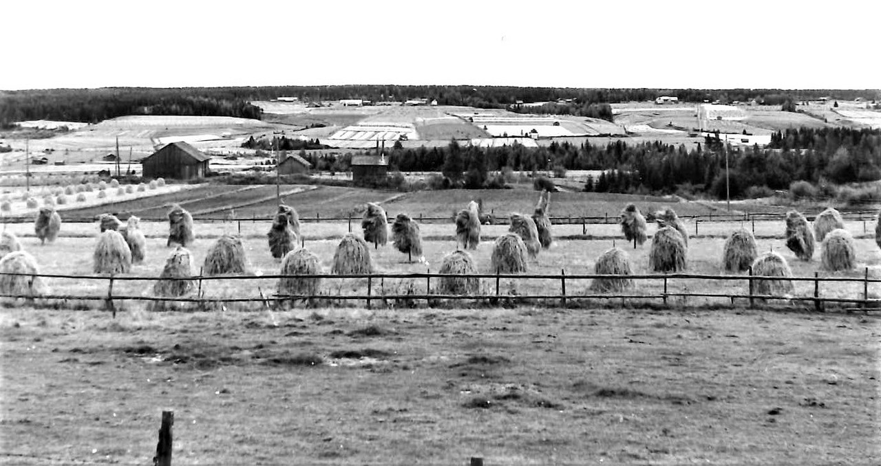 Hyypän maisemia 1960