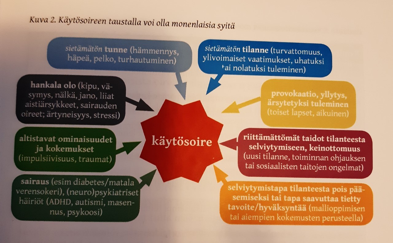 Käytösoireen taustalla olevia syitä kuva.jpg