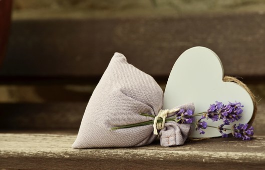 lavender-823600__340.jpg
