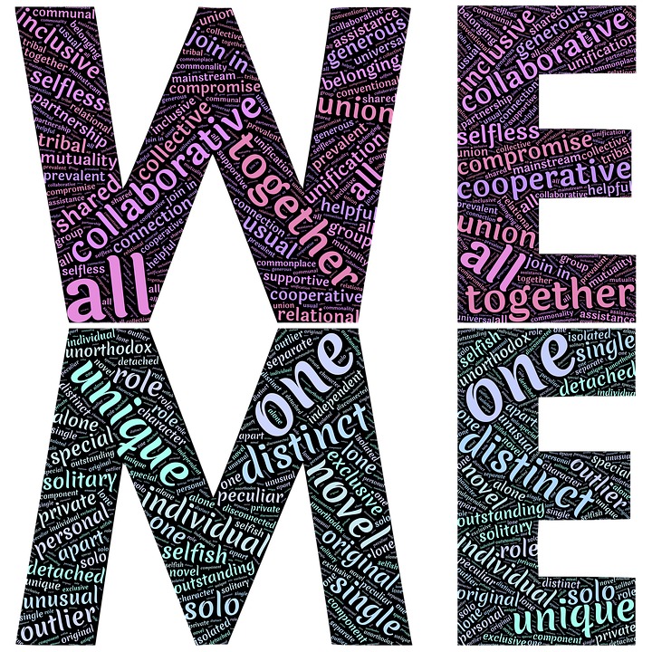 we-2078025_960_720.png