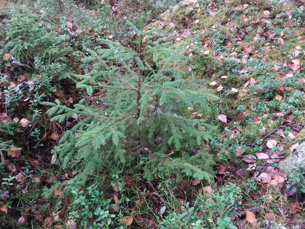 20171015_133428.jpg
