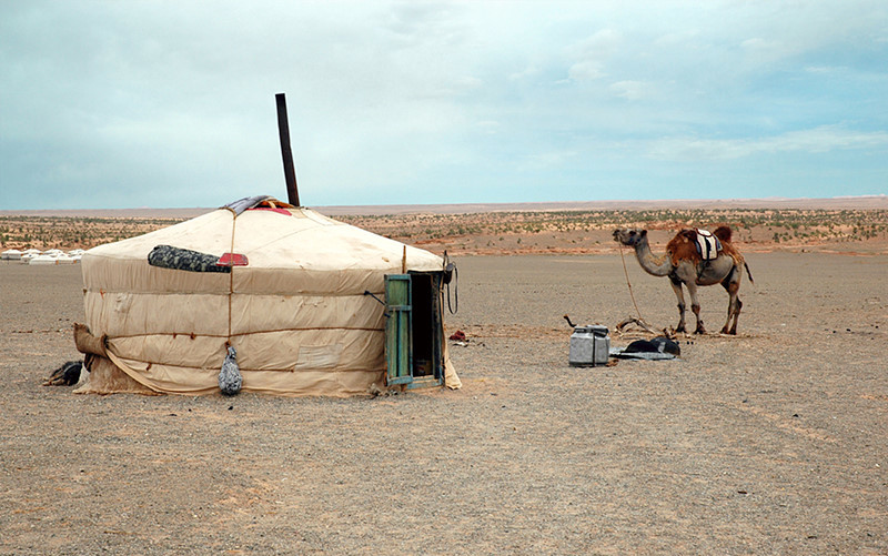 gobi_paimentolaisuus_shutterstock_5623054.jpg