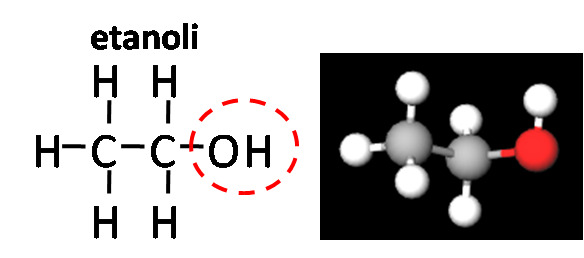 Alkoholit Alkoholit