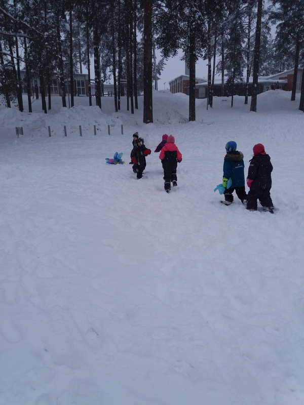 20190205_091823.jpg