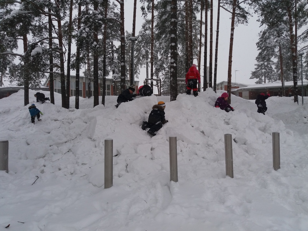 20190205_092446.jpg