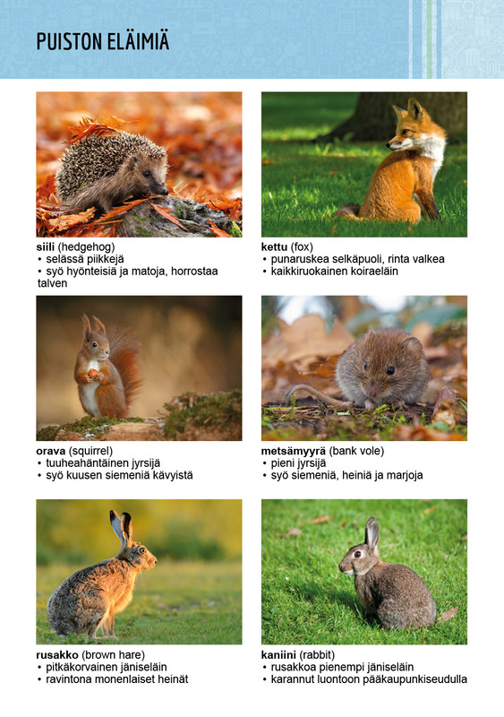 Nisäkkäitä.