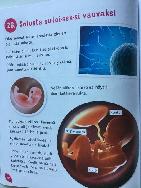 YO kpl 26.1..jpg