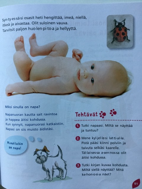 YO kpl 26. 2..jpg