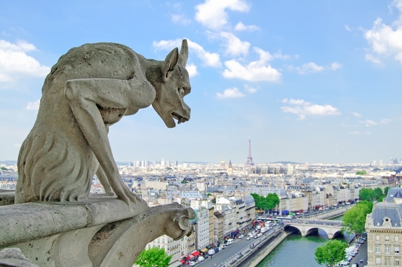 A view from the Notre -Dame Cathedral into the rest of Paris.