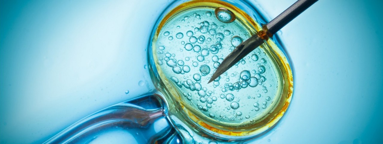 In vitro ("lasissa") on tutkimustekniikka, jossa luonnontieteellinen koe suoritetaan esim. koeputkessa (koeputkihedelmöitys).