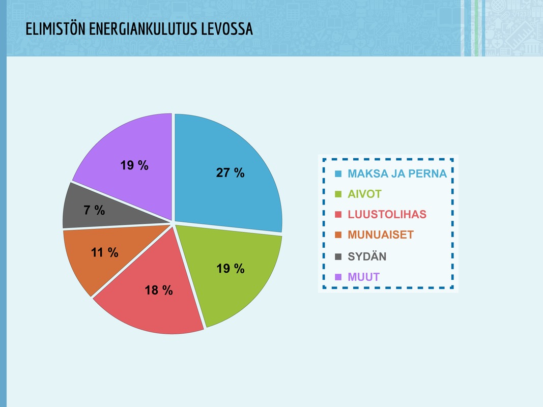Elinten käyttämän energian osuus kokonaisenergiasta levossa. Aivot tarvitsevat jatkuvasti suuren määrän energiaa.
